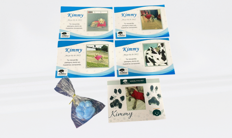 PAN BASICO ANGELITOS PET FUNERARIA PET MEDELLIN