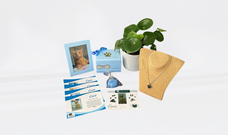 funeraria de mascotas angelitos pet plan regreso a casa