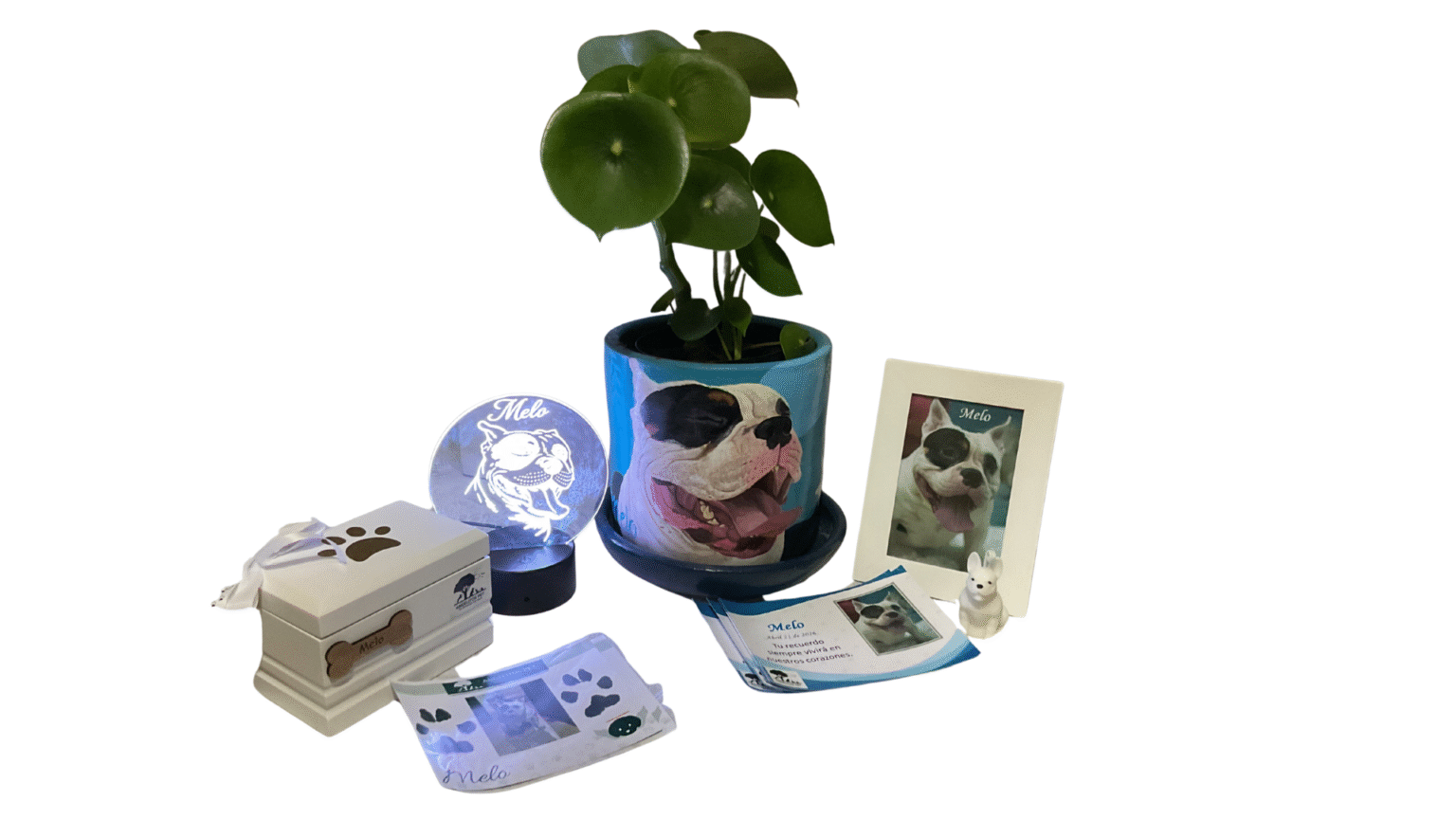 plan-remember-angelitos-pet-funerria-de-mascotas-medellin-nuevo-plan-1