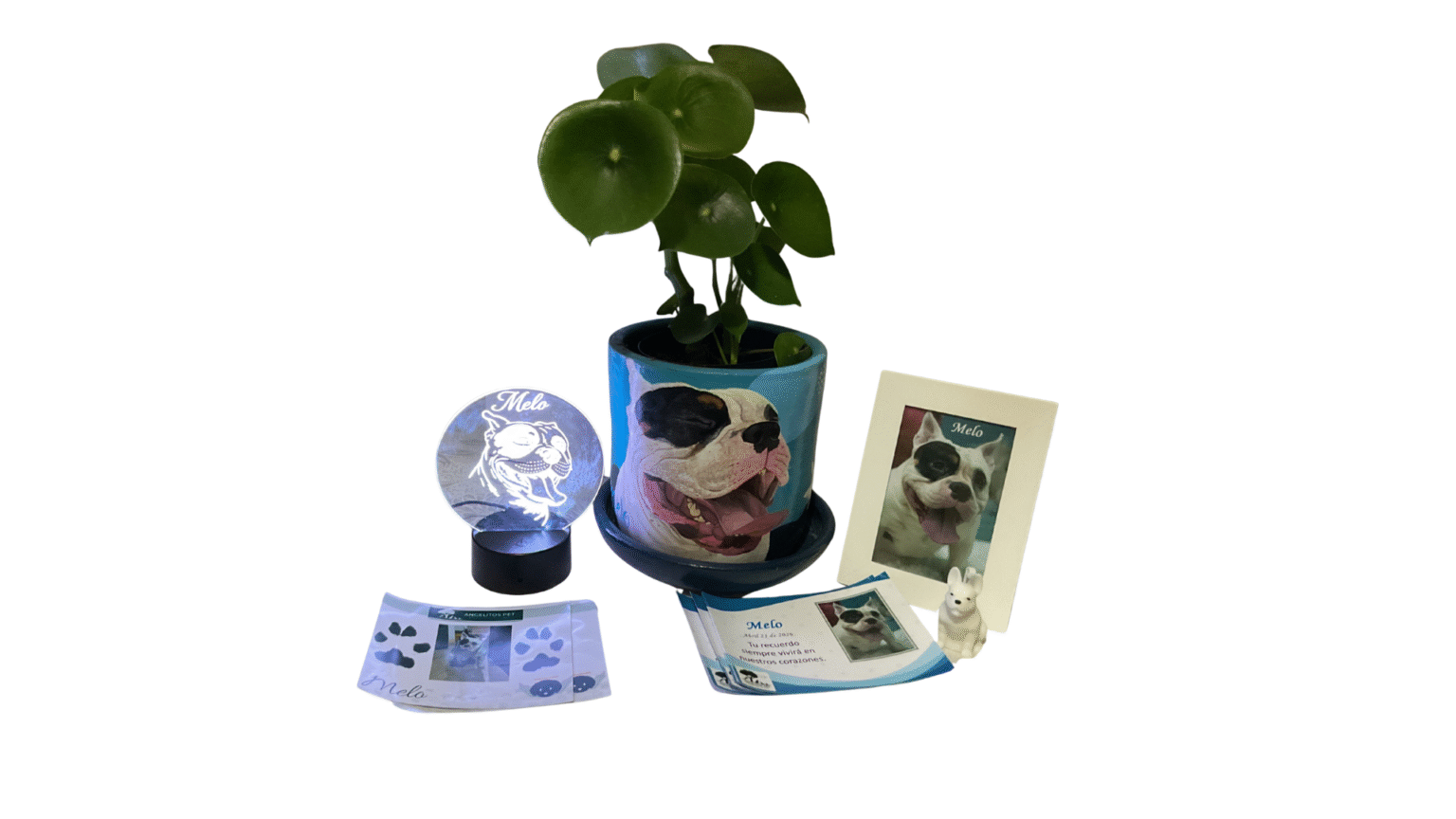 plan-remember-angelitos-pet-funerria-de-mascotas-medellin-nuevo-plan-2