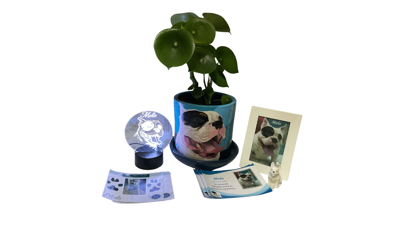 remember-plan-funerario-angelitos-pet-premium-cenizas-mascotas-cremacion-medellin